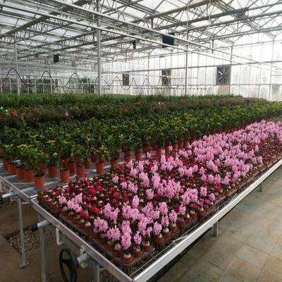 温室大棚 可用于花卉水果蔬菜苗木种植 森美农业工厂专业定制