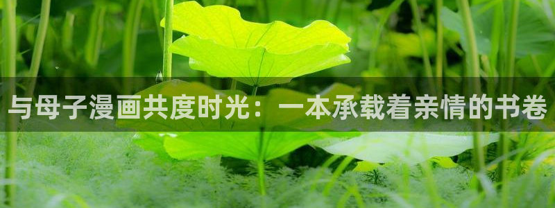 溺酒包子漫画高清版：与母子漫画共度时光：一本承载着亲情的书卷